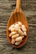 cannellini beans - fagioli cannellini