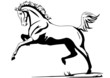 Pferd