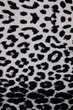 Leopard fabric texture background. Leopard fabric texture background.
