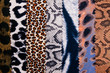 Safari fabric texture background.