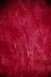 Red leather texture background.
