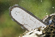 The chainsaw blade The chainsaw blade