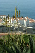 Islas Canarias Tenerife