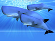BLUE OCEAN