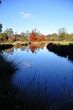 Lake (2)