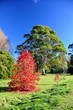 Australian autumn
