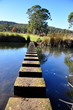 Stepping stones