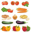 The big colorful group of vegetables. Vector. The big colorful group of vegetables. Vector.