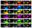 Ligth banner set