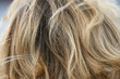 Haare