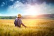 Farmer walking through a wheat field Farmer walking through a wheat field