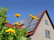Solar cells on a roof with flowers in the foreground.