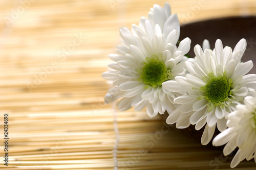 Photo: Wooden bowl with fresh white chrysanthemums Wooden bowl with fresh white chrysanthemums