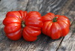 Fleischtomaten (Solanum lycopersicum )