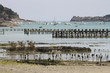 Cancale