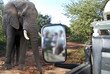 safari  nel parco Chobe