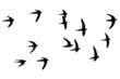 vogelschwarm wandtattoo
