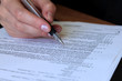review and filling out legal contract
