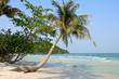 Foto: Palmen am Strand von Phu Quoc - Vietnam Palmen am Strand von Phu Quoc - Vietnam
