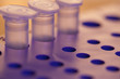 Photo: life sciences 2 life sciences 2