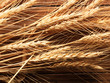 Wheat spikes on wooden board