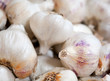 Fresh Garlic for sale in grocery store
