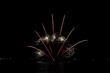 Photographie : Feu artifice paillettes