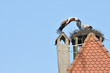 GER-Stoerche1