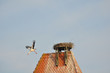 GER-Stoerche2