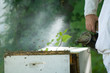 BeeKeeper