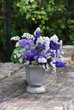 Strandflieder (Limonium vulgare)