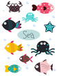 sea animal