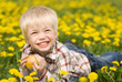 The laughing boy with an apple lies in the field from dandelions The laughing boy with an apple lies in the field from dandelions