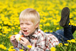 The boy lies in the field from dandelions and eats an apple The boy lies in the field from dandelions and eats an apple