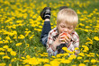 The boy lies in the field from dandelions and eats an apple The boy lies in the field from dandelions and eats an apple