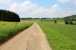 rural road fields forest and cloudy blue sky