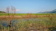 Skadar lake