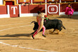 Banderillero