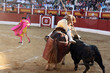 Picador