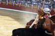 Picador