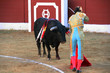 Torero entrando a matar