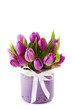 Pink tulips