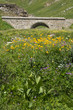 pont de l'iseran