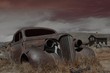 old timer