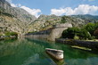 Kotor