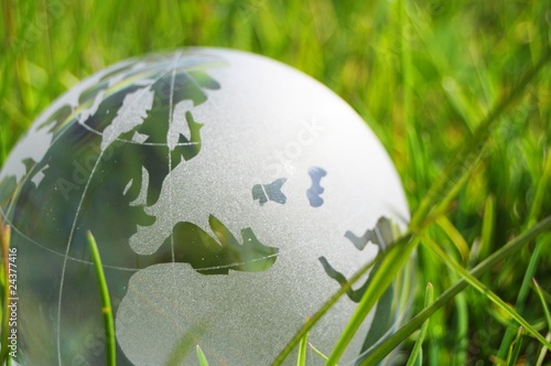 glass globe or earth in grass glass globe or earth in grass