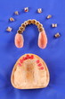 Dentaltechnik VIIII