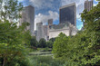 Central Park in the early morning Central Park in the early morning