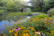 Central Park at the pond Central Park at the pond
