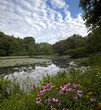 Central Park at the pond Central Park at the pond